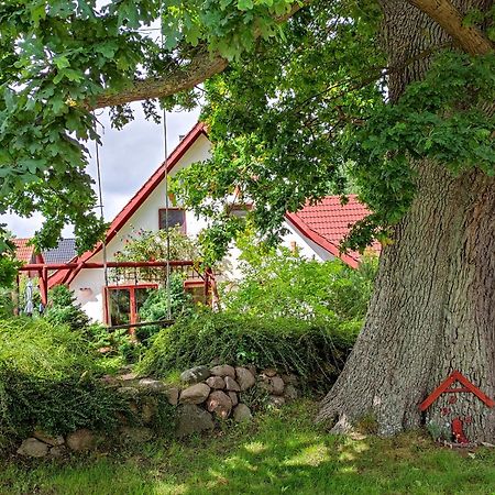 Haus Jasmin Apartment Bodstedt ภายนอก รูปภาพ