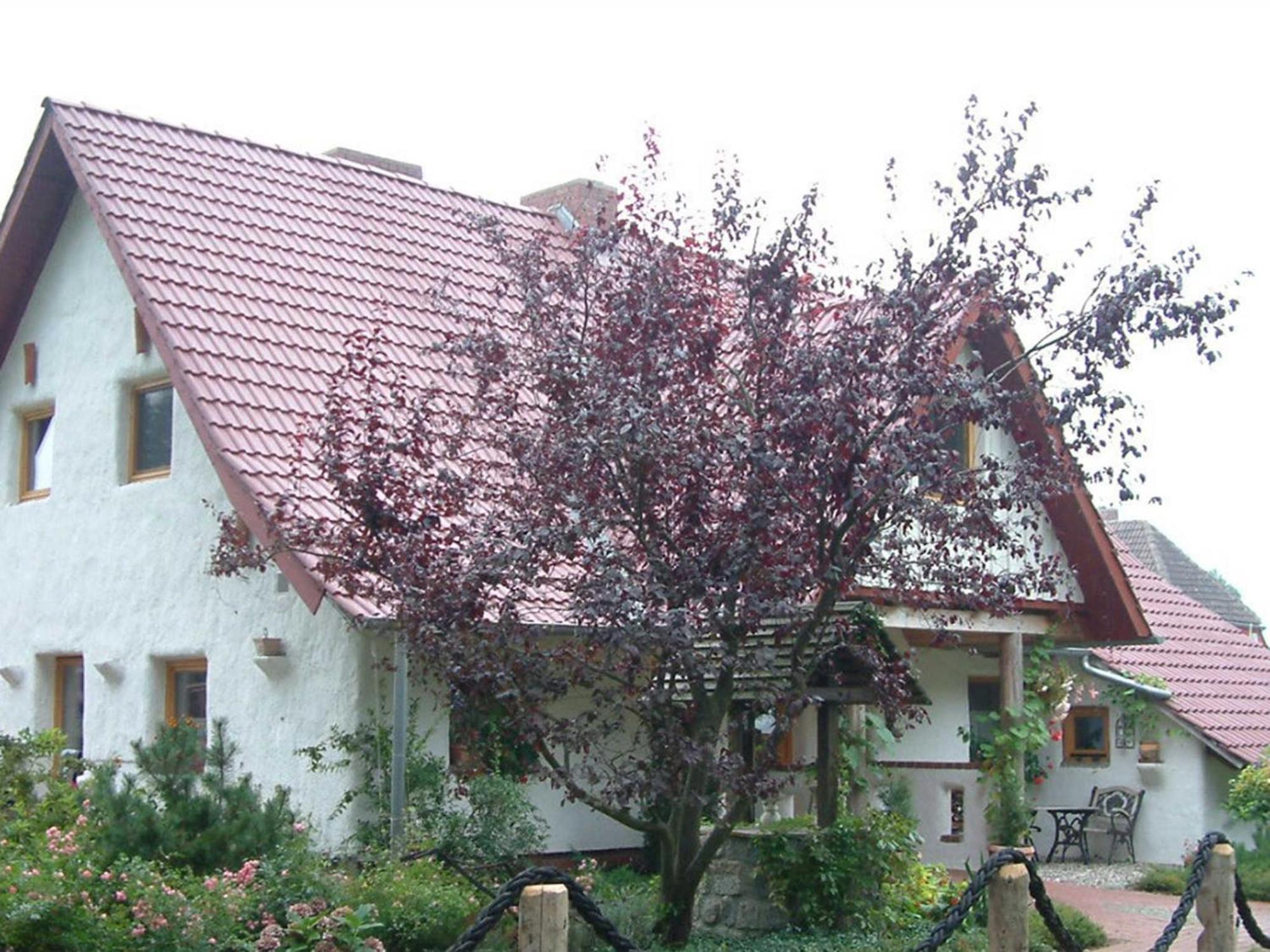 Haus Jasmin Apartment Bodstedt ภายนอก รูปภาพ